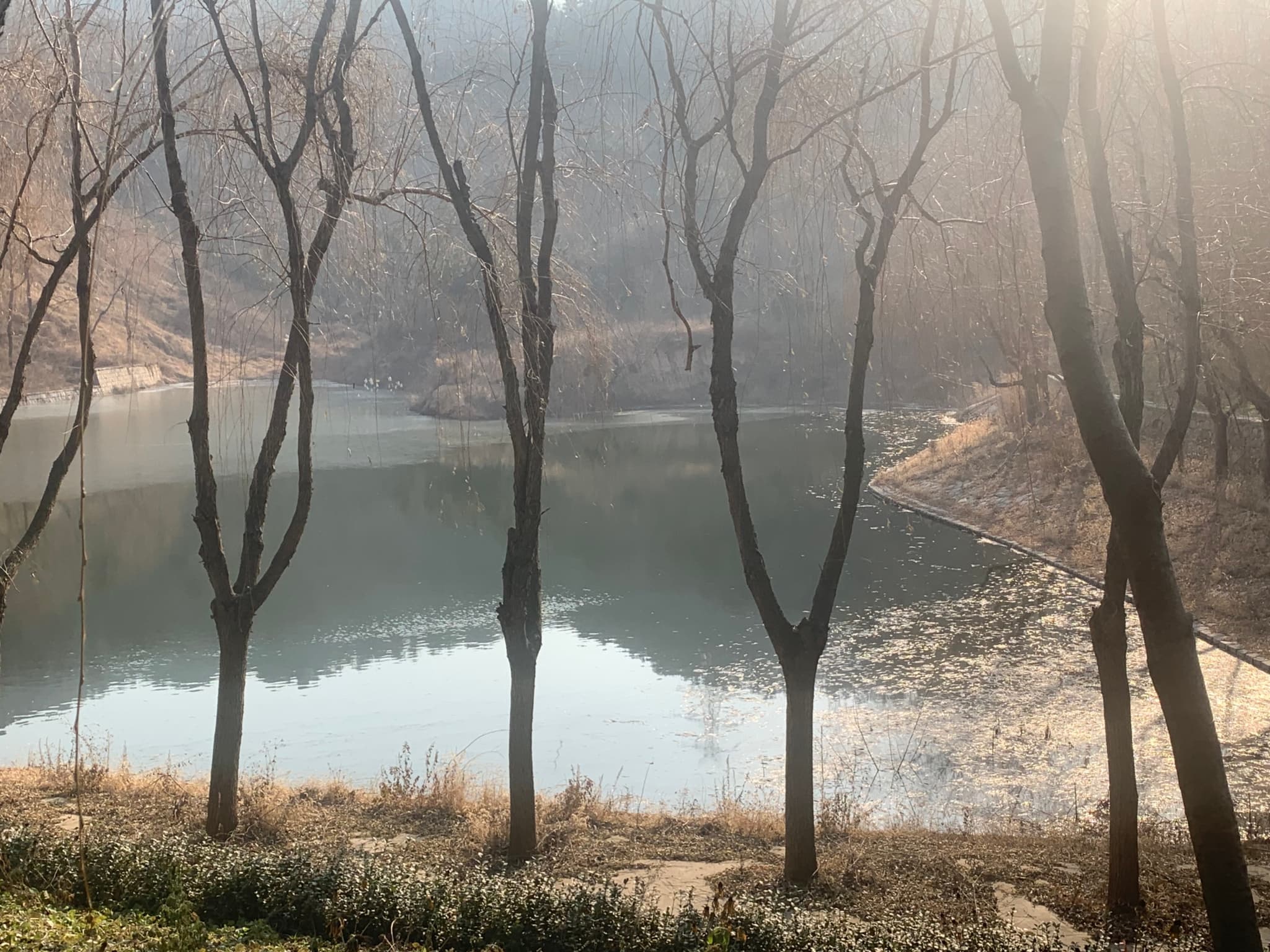 元旦的浮山